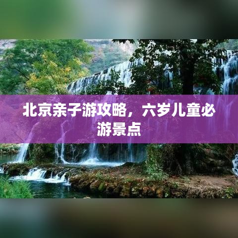 体育 第8页