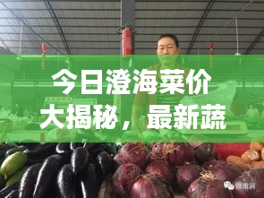 今日澄海菜价大揭秘，最新蔬菜市场价格的最新动态一网打尽！