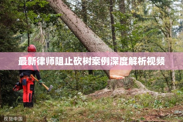 最新律师阻止砍树案例深度解析视频