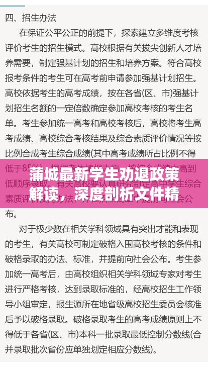 蒲城最新学生劝退政策解读，深度剖析文件精神