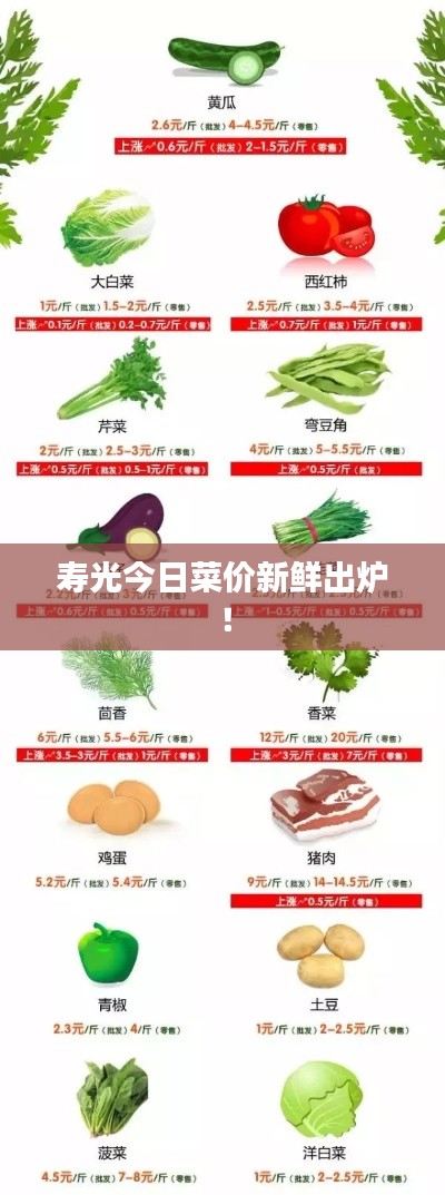 体育 第7页