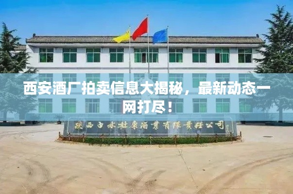 新闻 第8页