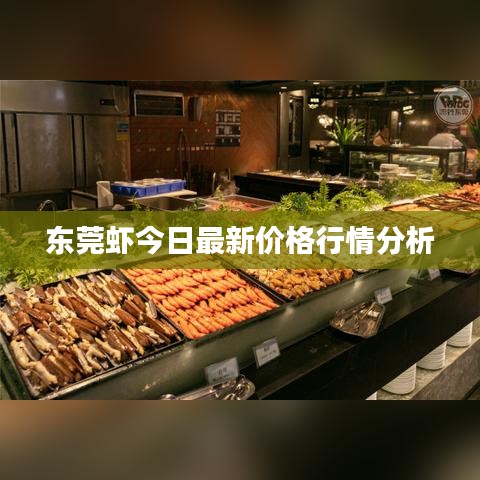 东莞虾今日最新价格行情分析