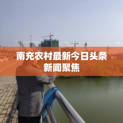 鸟为食亡
