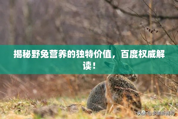 揭秘野兔营养的独特价值，百度权威解读！
