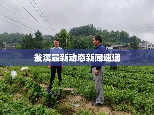瓮溪最新动态新闻速递