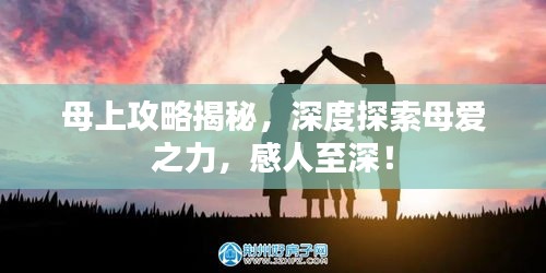 母上攻略揭秘，深度探索母爱之力，感人至深！