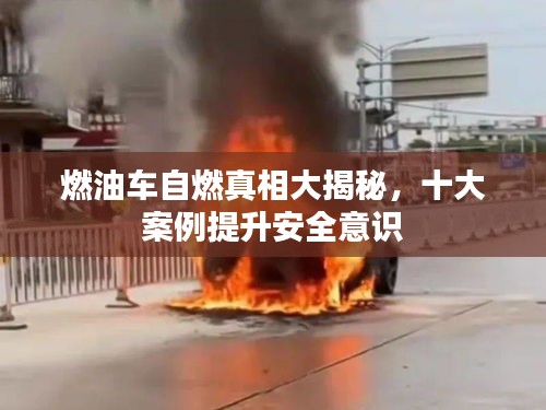 财经 第7页