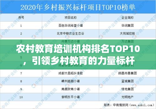 农村教育培训机构排名TOP10，引领乡村教育的力量标杆