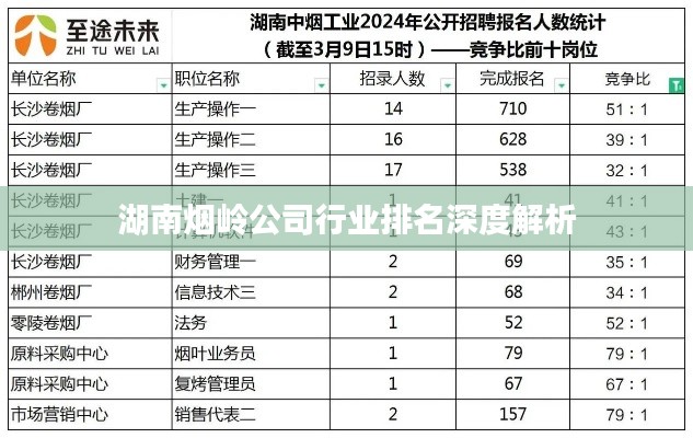 湖南烟岭公司行业排名深度解析