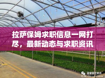拉萨保姆求职信息一网打尽，最新动态与求职资讯