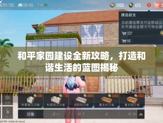 和平家园建设全新攻略，打造和谐生活的蓝图揭秘
