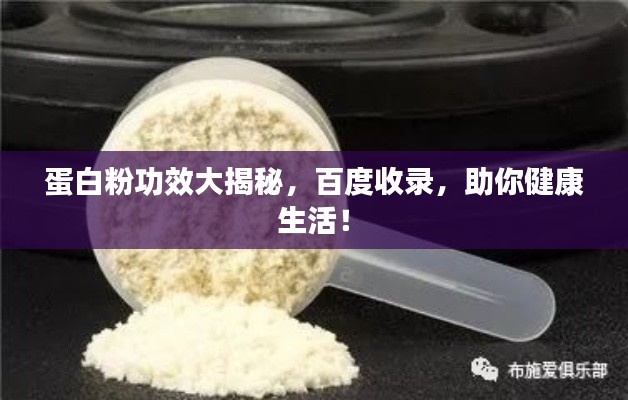 蛋白粉功效大揭秘，百度收录，助你健康生活！