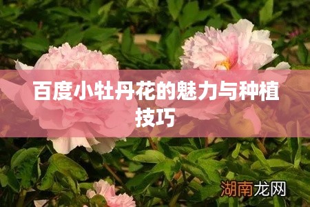 新闻 第7页