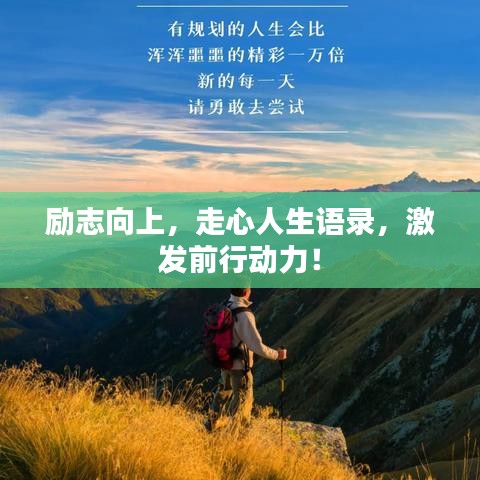 财经 第5页