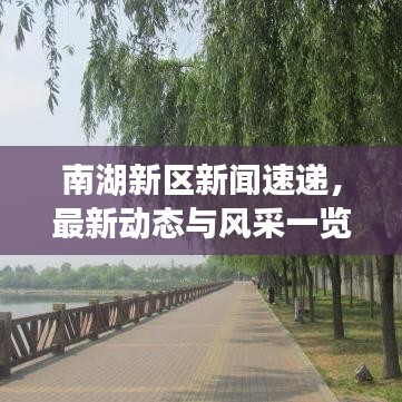 南湖新区新闻速递，最新动态与风采一览