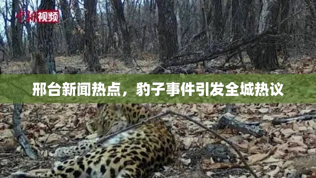 资料大全 第5页
