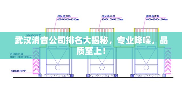 武汉消音公司排名大揭秘，专业降噪，品质至上！