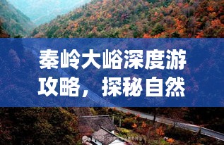 秦岭大峪深度游攻略，探秘自然与文化的绝美融合之旅