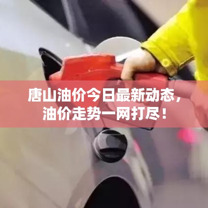 唐山油价今日最新动态，油价走势一网打尽！