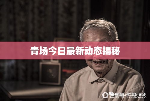 青场今日最新动态揭秘