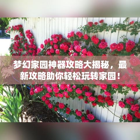 梦幻家园神器攻略大揭秘，最新攻略助你轻松玩转家园！