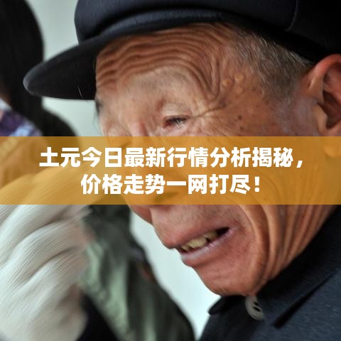 土元今日最新行情分析揭秘，价格走势一网打尽！
