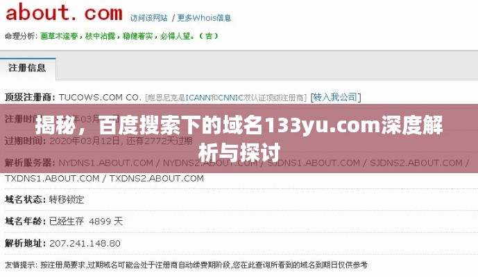 揭秘，百度搜索下的域名133yu.com深度解析与探讨