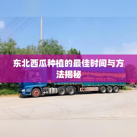 东北西瓜种植的最佳时间与方法揭秘