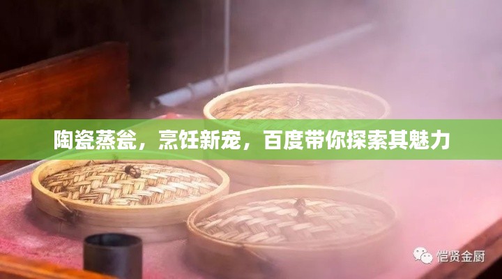 陶瓷蒸瓮，烹饪新宠，百度带你探索其魅力