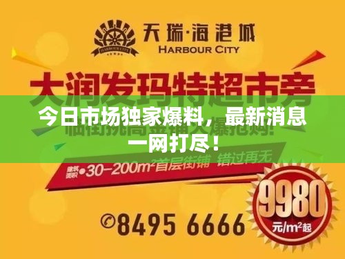 今日市场独家爆料，最新消息一网打尽！