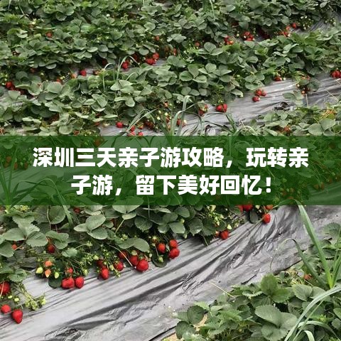 深圳三天亲子游攻略，玩转亲子游，留下美好回忆！