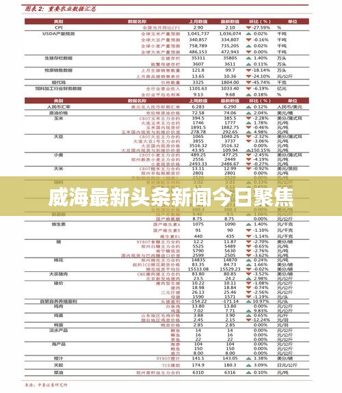 威海最新头条新闻今日聚焦