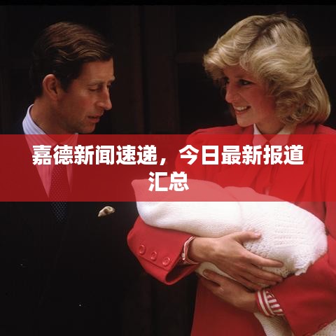 嘉德新闻速递，今日最新报道汇总