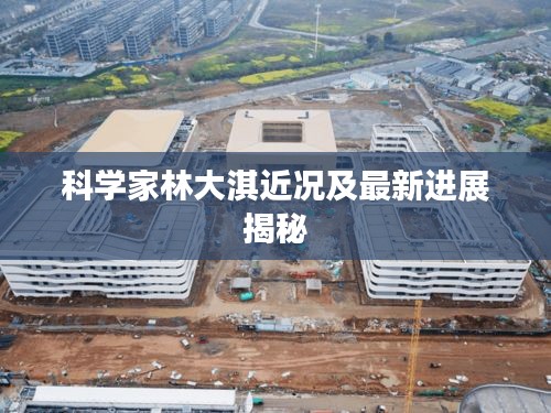 科学家林大淇近况及最新进展揭秘