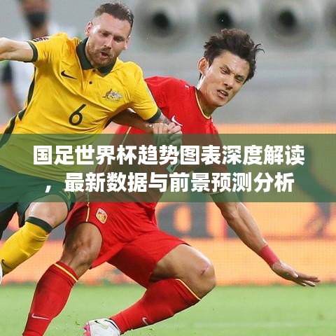 国足世界杯趋势图表深度解读，最新数据与前景预测分析