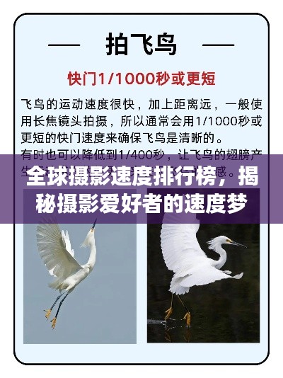 全球摄影速度排行榜，揭秘摄影爱好者的速度梦想！