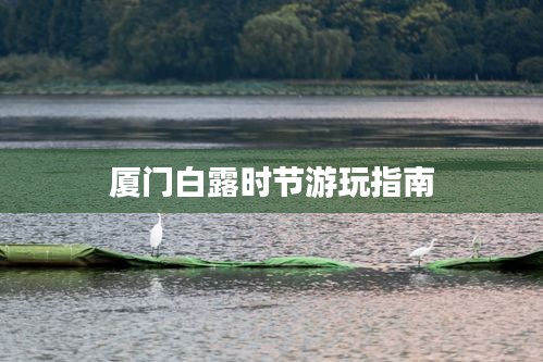 厦门白露时节游玩指南
