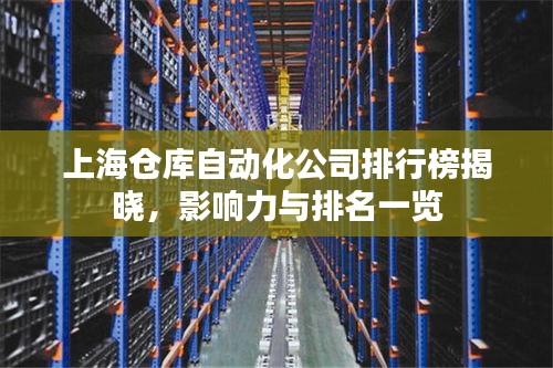上海仓库自动化公司排行榜揭晓，影响力与排名一览