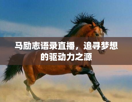 马励志语录直播，追寻梦想的驱动力之源
