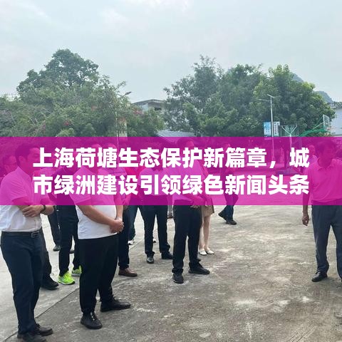 上海荷塘生态保护新篇章，城市绿洲建设引领绿色新闻头条