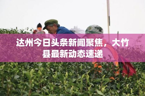 达州今日头条新闻聚焦，大竹县最新动态速递