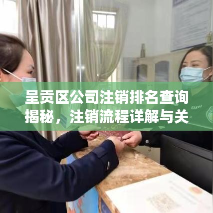呈贡区公司注销排名查询揭秘，注销流程详解与关键因素解读