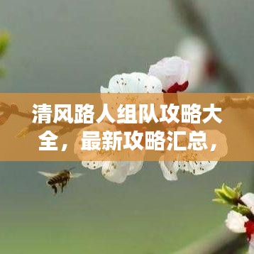 清风路人组队攻略大全，最新攻略汇总，助你轻松组队！
