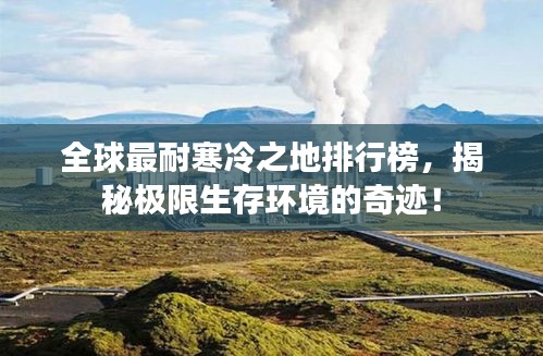全球最耐寒冷之地排行榜，揭秘极限生存环境的奇迹！