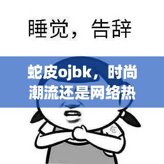 蛇皮ojbk，时尚潮流还是网络热词？深度解读带你揭秘真相！
