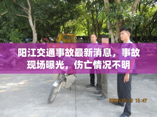 阳江交通事故最新消息，事故现场曝光，伤亡情况不明