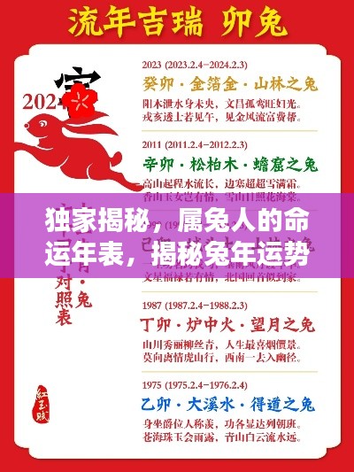 独家揭秘，属兔人的命运年表，揭秘兔年运势走向！