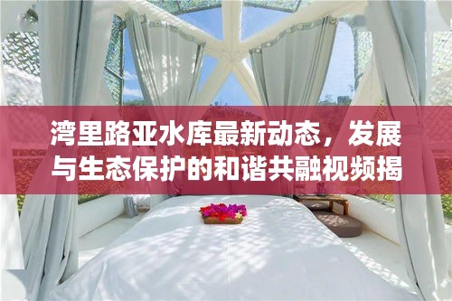 湾里路亚水库最新动态，发展与生态保护的和谐共融视频揭秘