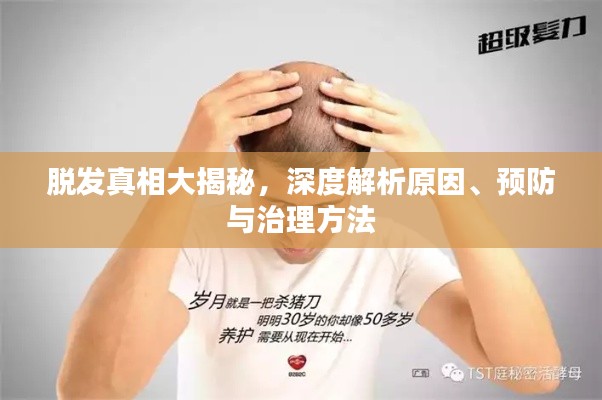 脱发真相大揭秘，深度解析原因、预防与治理方法